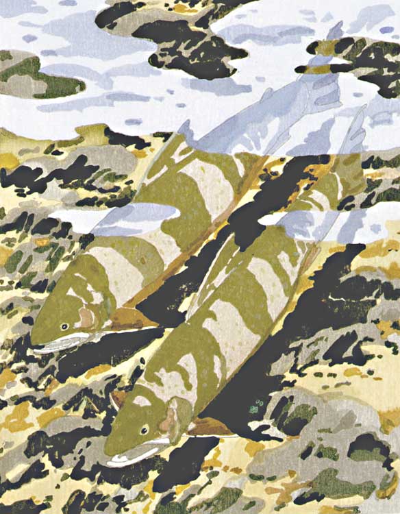 Two Trout, 1981  woodcut on Torinoko, 18 x 15 inches, sheet, edition 130