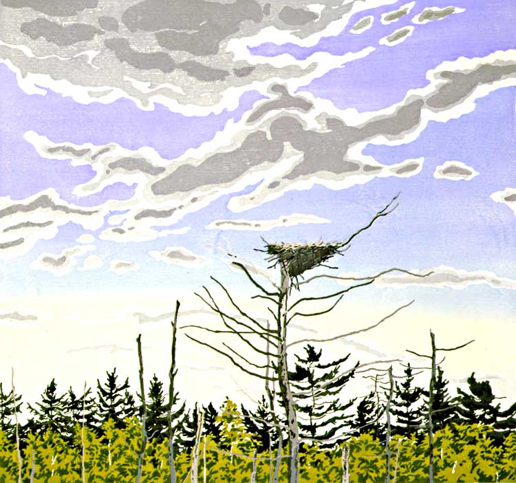 Osprey�s Nest, 1979-80    woodcut on Kizuki Sarashi Hanga, 35 3/4 x 36 inches, sheet, edition 80
