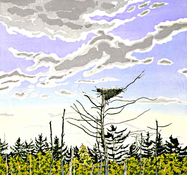 Osprey’s Nest, 1979-80    woodcut on Kizuki Sarashi Hanga, 35 3/4 x 36 inches, sheet, edition 80