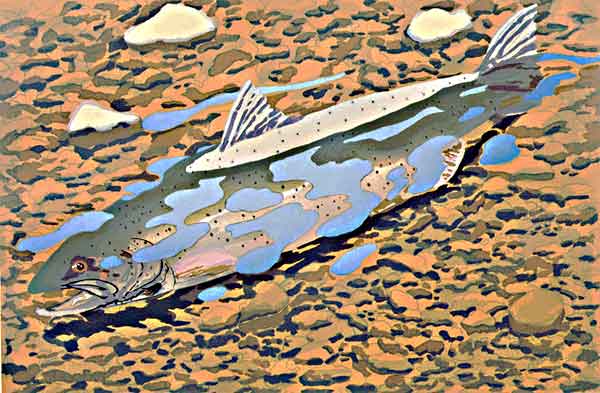 Redding Salmon (Northern Sea Trout), 1997-98
etching and woodcut on Arches Cover, 26 3/4 x 36 inches, sheet, edition 35